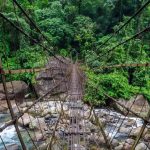 The Living Root Bridges of Meghalaya - Sheet5