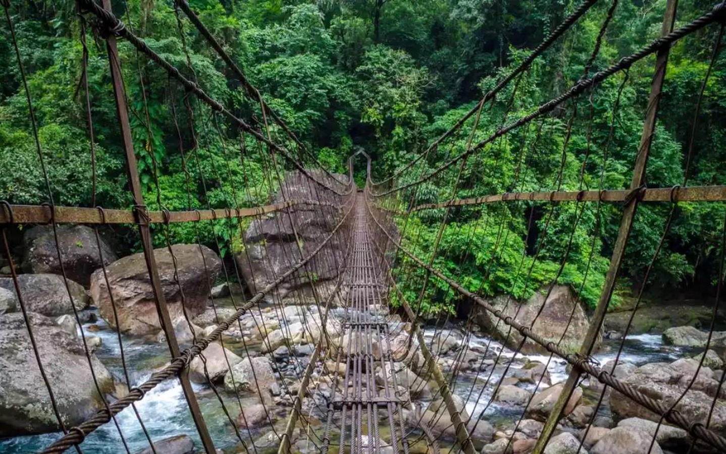 The Living Root Bridges of Meghalaya - Sheet5