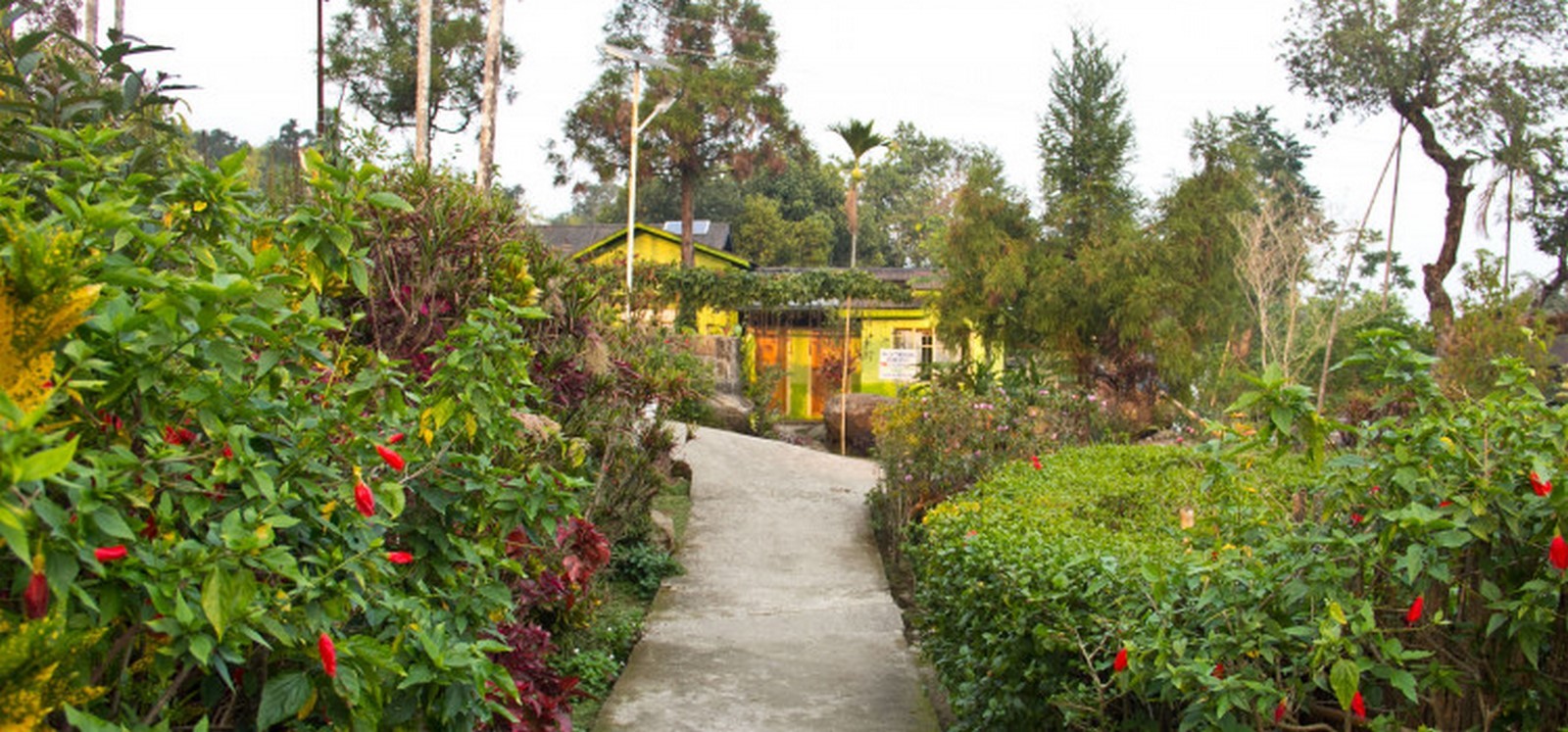 Mawlynnong Village, Meghalaya - Sheet1