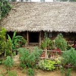 Mawlynnong Village, Meghalaya - Sheet2