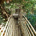 Mawlynnong Village, Meghalaya - Sheet3