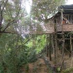 Mawlynnong Village, Meghalaya - Sheet4