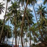 Ross Island, Andaman and Nicobar - Sheet3