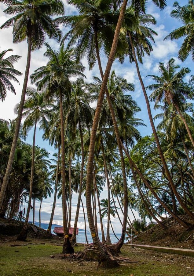 Ross Island, Andaman and Nicobar - Sheet3