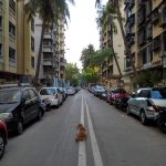 How will the pandemic change travel and documentation in Architecture - Sheet3