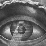 Book Reviews- The Eyes of the Skin by Juhani Pallasmaa - Sheet2