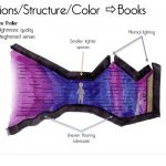 8 Ways in which Architecture is used in English Literature - Sheet7