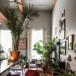 Bamboo Palm