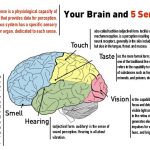 Psychological impact of landscape design - Sheet1