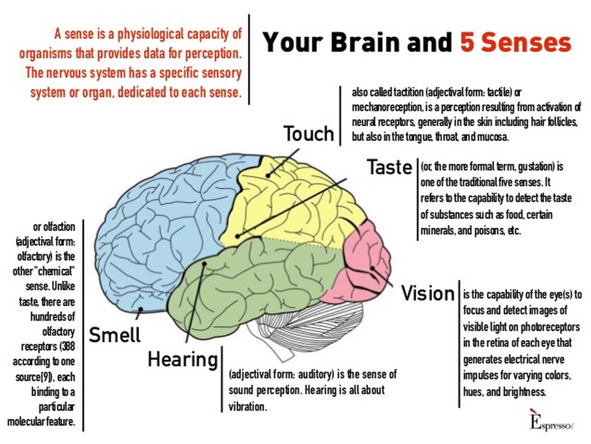 Psychological impact of landscape design - Sheet1