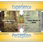 Psychological impact of landscape design - Sheet2