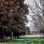 Psychological impact of landscape design - Sheet4