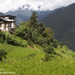 Dzongs, Bhutan - Sheet1