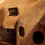 The Nest, Southern Africa - Sheet2