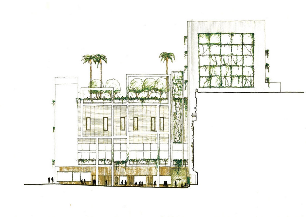 Ivy - Sheet2
