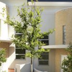 Ocho Apartments, Leederville. - Sheet1