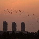 The growing need for Architects to emphasize Sustainability in Architecture - Sheet3
