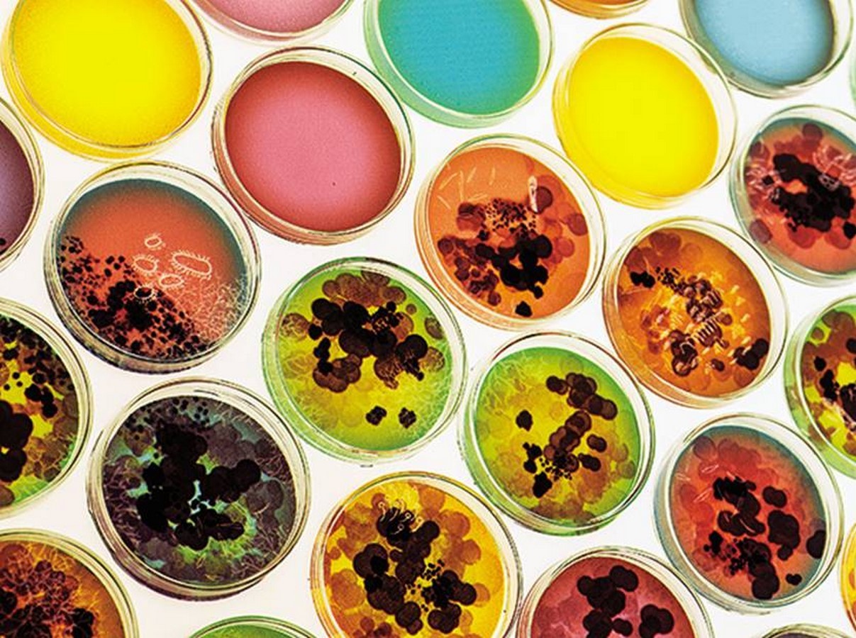 Rebooting… to Bio-Design! - Sheet1