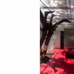 The Lightbox- restroom for women, Thane, RC Architects - Sheet2