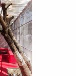 The Lightbox- restroom for women, Thane, RC Architects - Sheet3