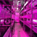 Indoor garden - Sheet2