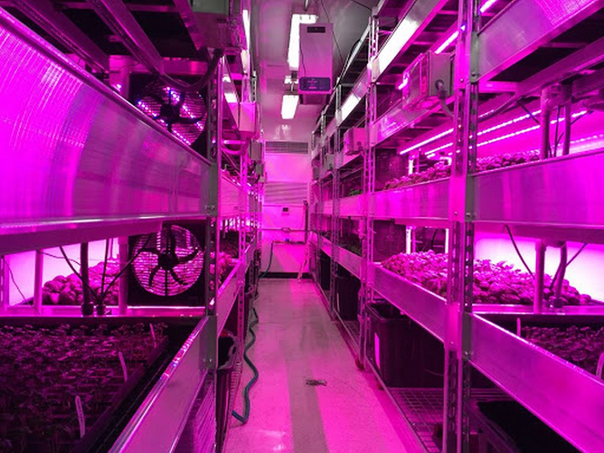 Indoor garden - Sheet2
