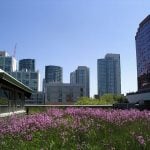 Urban pollution- The case of New York - Sheet4
