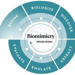 10 Facts about biomimicry that architects must know - Sheet1
