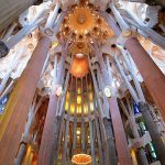 10 Facts about biomimicry that architects must know - Sheet2