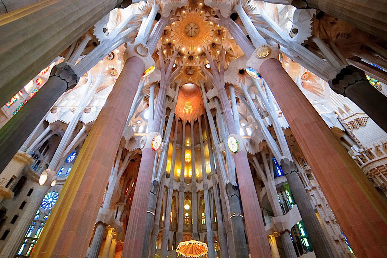 10 Facts about biomimicry that architects must know - Sheet2