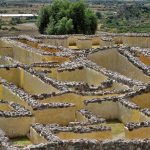 Yagul Ruins - sheet2