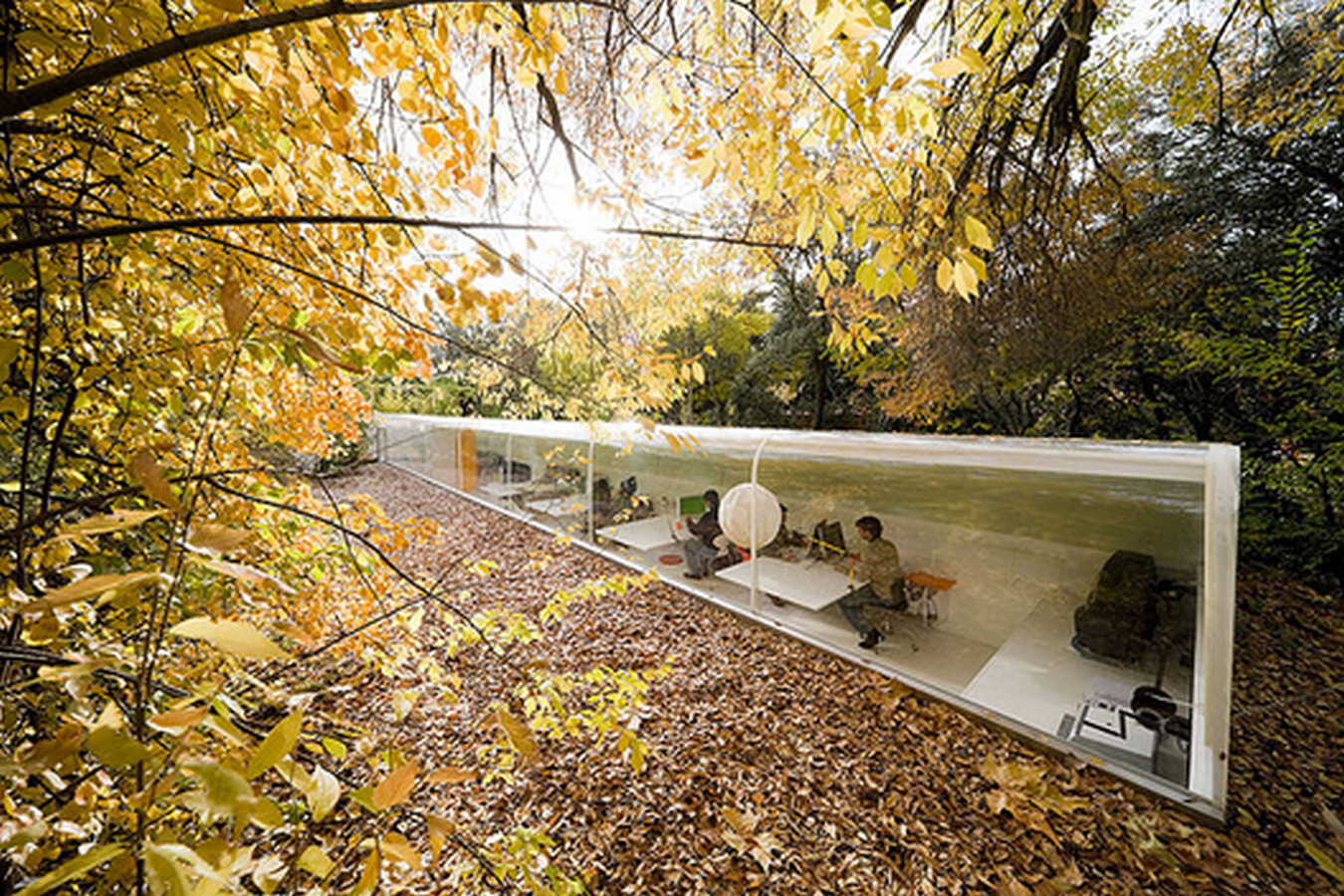 Office in the Woods by Selgascano - Sheet3