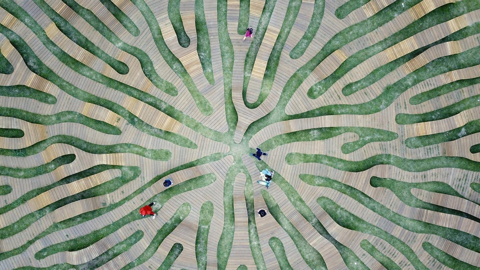 Root Bench by Yong Ju Lee - Sheet2