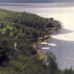10 Things to remember while designing for Wetlands - Sheet6
