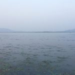 10 Things to remember while designing for Wetlands - Sheet16