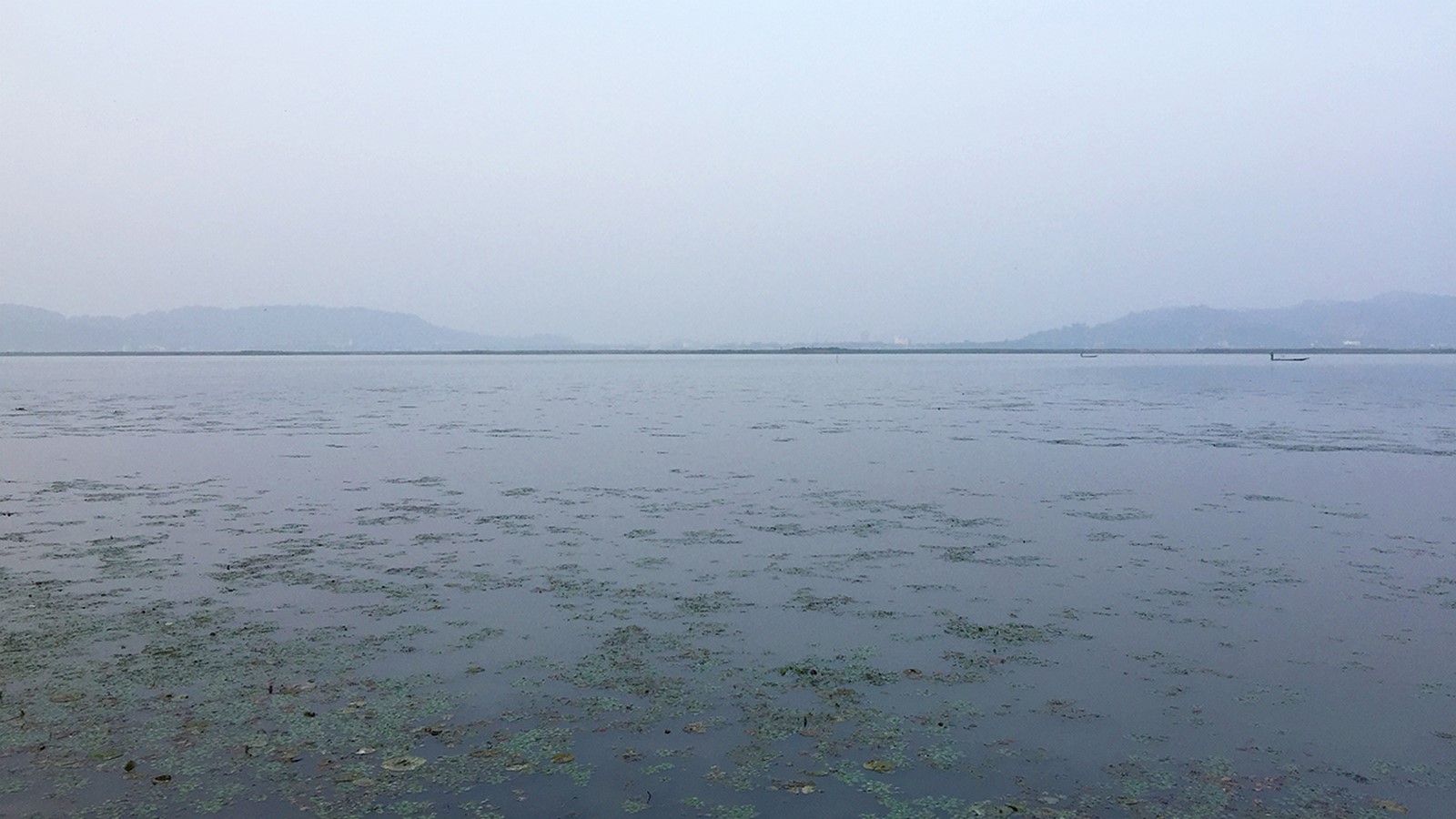 10 Things to remember while designing for Wetlands - Sheet16