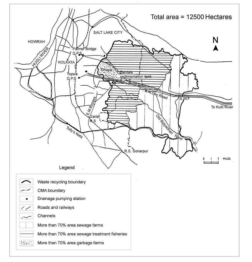 10 Things to remember while designing for Wetlands - Sheet3