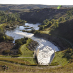 10 Things to remember while designing for Wetlands - Sheet20