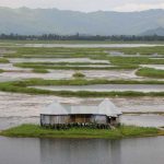 10 Things to remember while designing for Wetlands - Sheet7
