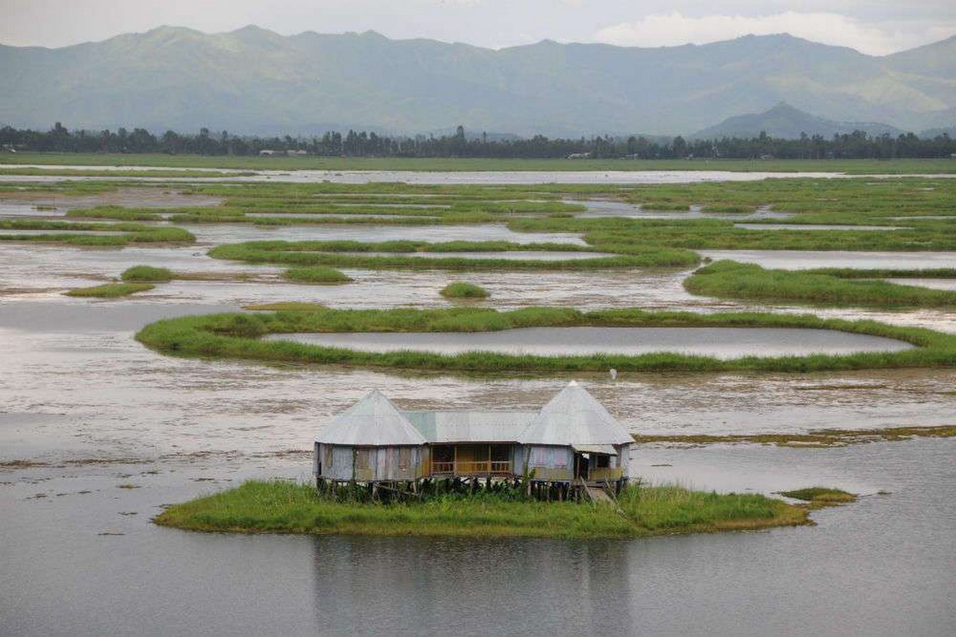 10 Things to remember while designing for Wetlands - Sheet7