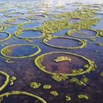 10 Things to remember while designing for Wetlands - Sheet8