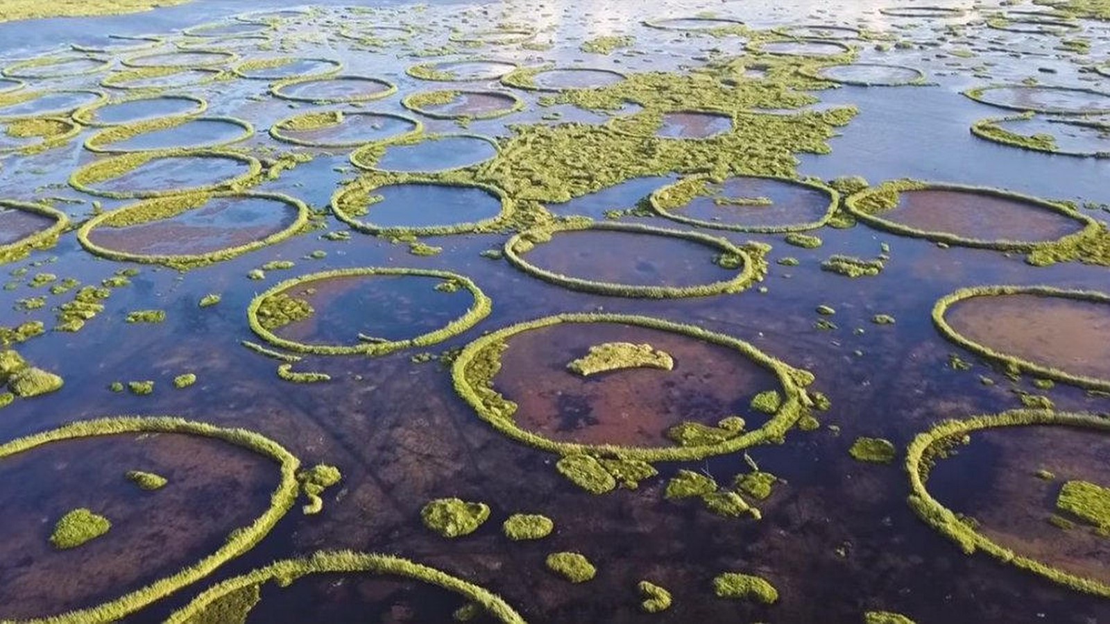 10 Things to remember while designing for Wetlands - Sheet8