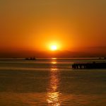 10 Things to remember while designing for Wetlands - Sheet10