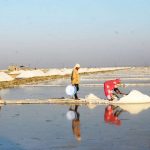 10 Things to remember while designing for Wetlands - Sheet23