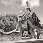 Finca Miralles - Sheet1