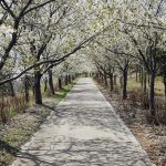 NISHIDA KITARO MUSEUM OF PHILOSOPHY - Sheet4
