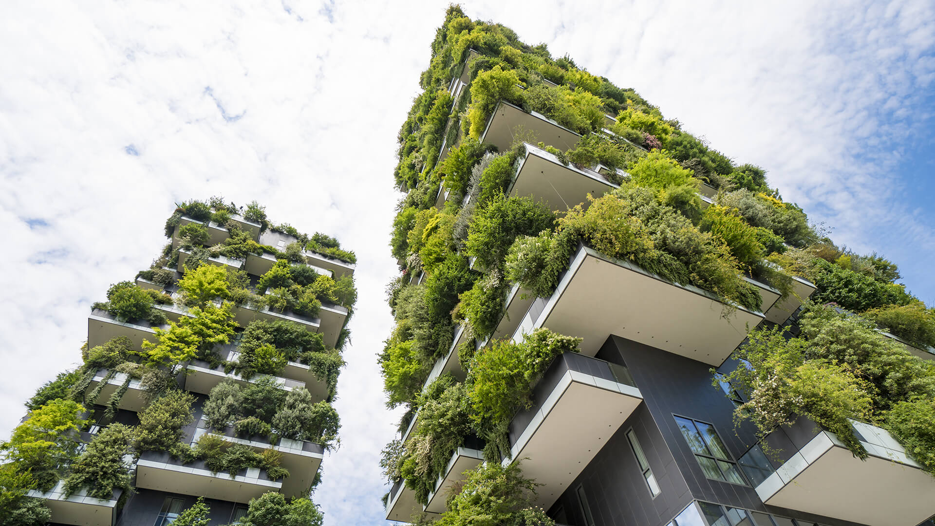 10 Things architects learn about in Environmental studies in college - Sheet2