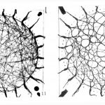 Parametricism- The Style of the Future - Sheet6