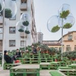 URBAN BLOOM - Sheet1
