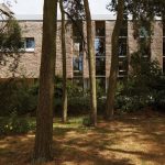 Architype